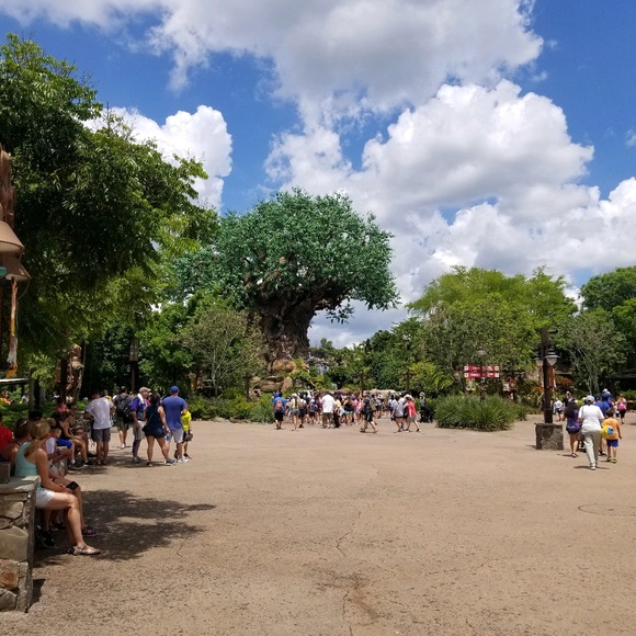 Meet your Posher, Heather - Picture 1 of 1